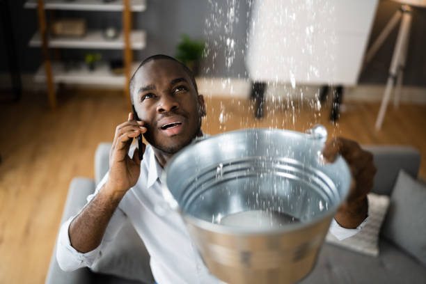 Best Basement water damage restoration  in Dresden, TN