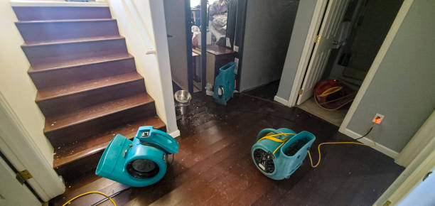 Trusted Dresden, TN Water damage restoration Experts