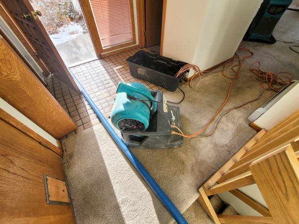 Best Flood restoration services  in Dresden, TN