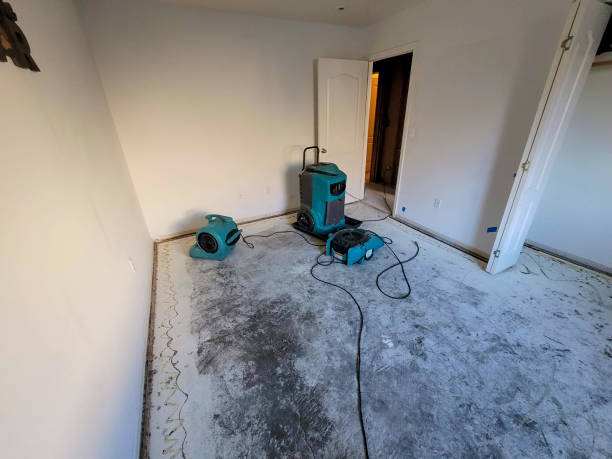 Best Water damage cleanup near me  in Dresden, TN