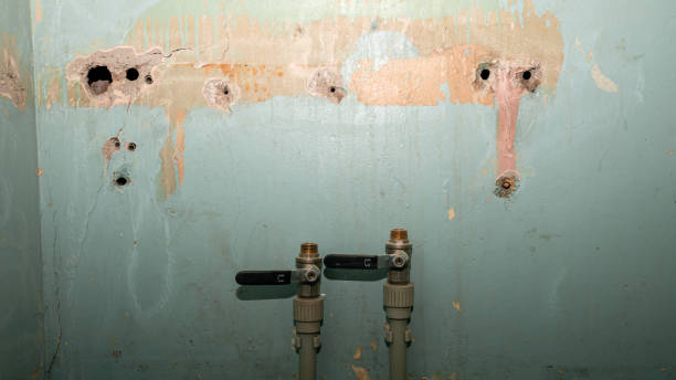 Best Emergency water damage restoration  in Dresden, TN
