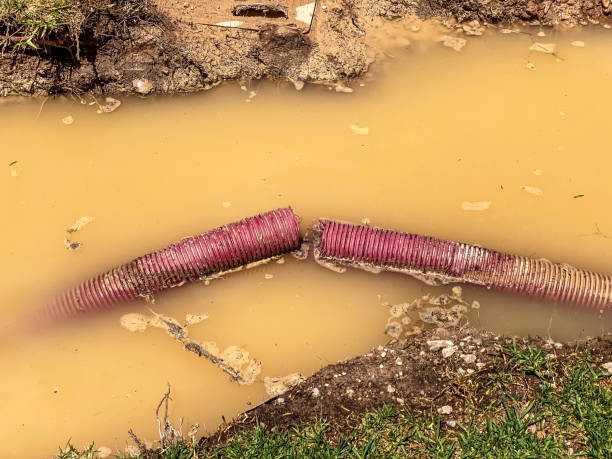 Best Sewage cleanup and water damage restoration  in Dresden, TN